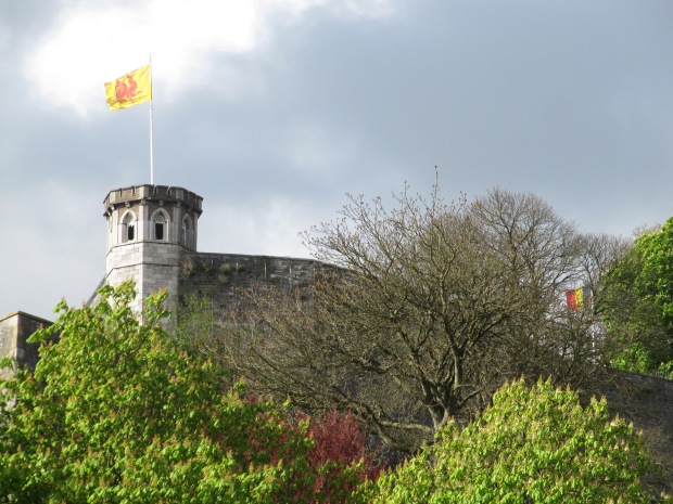 Le drapeau de la Wallonie, dont Namur est la capitale. 